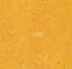 Линолеум Forbo Marmoleum Marbled Authentic 3225 dandelion фото 1 | FLOORDEALER